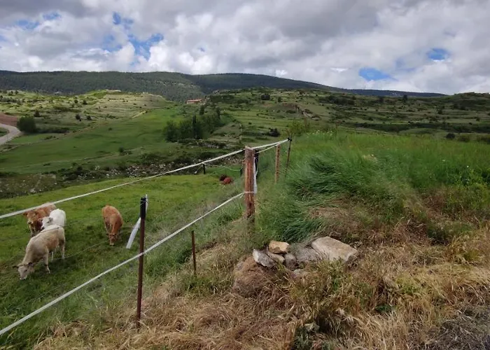 Feriehus Casa Carla Vute-22-056